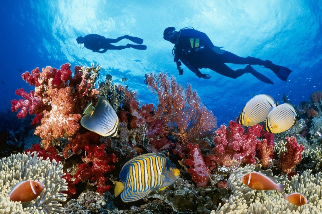 diving