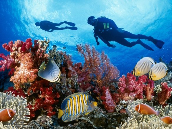 diving