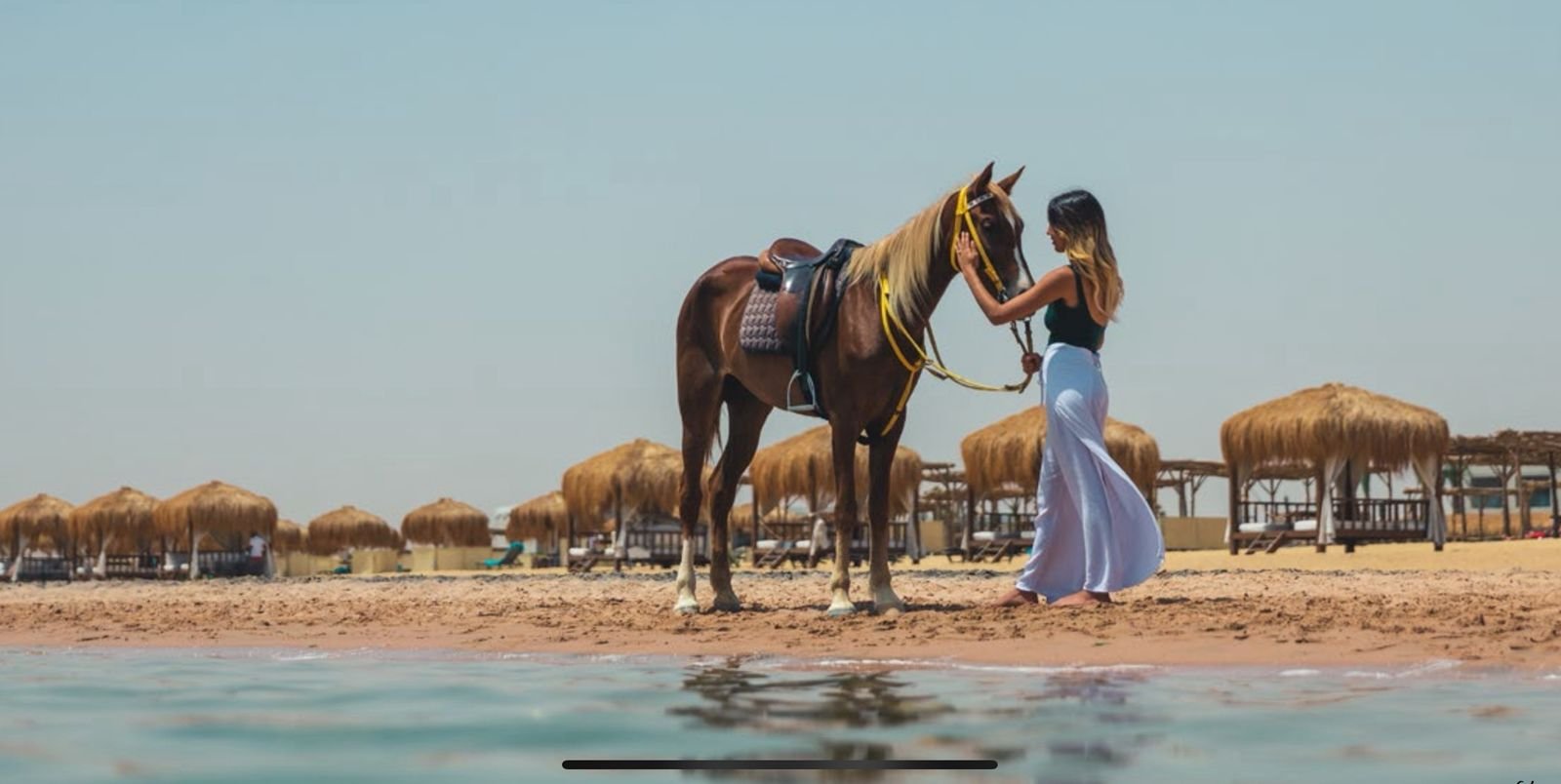 Ras-Soma-Residences-–-By-Travco-Properties-7